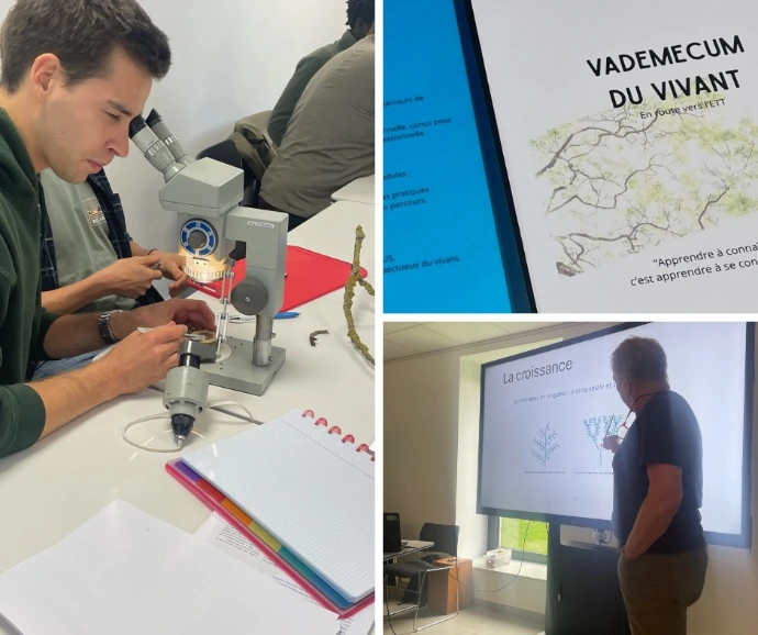 formation, ETT, arboriste conseil, EAC, arboriste