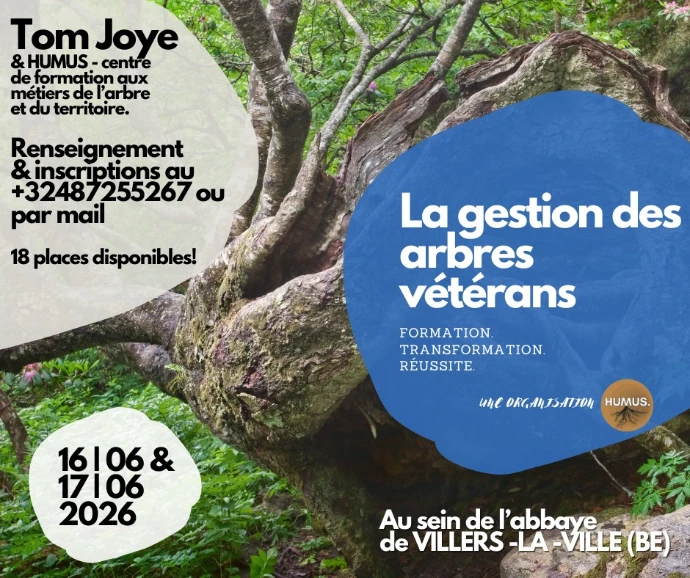 Formation arbres vétérans