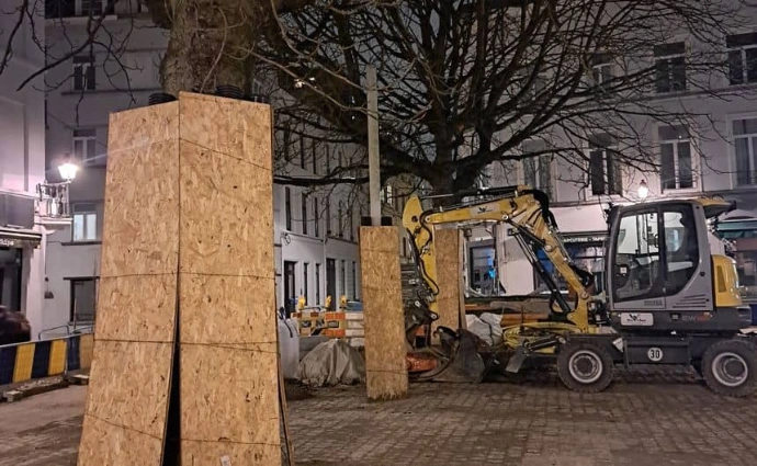Protection des arbres en chantier, formation