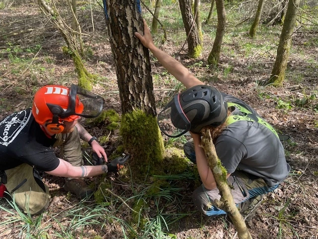 ETW, EAC, formation arboriste, formation ETW