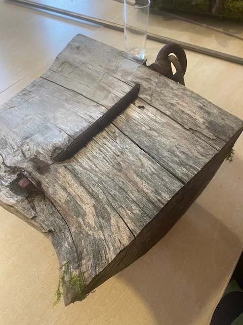 ETW, EAC, formation arboriste, formation ETW