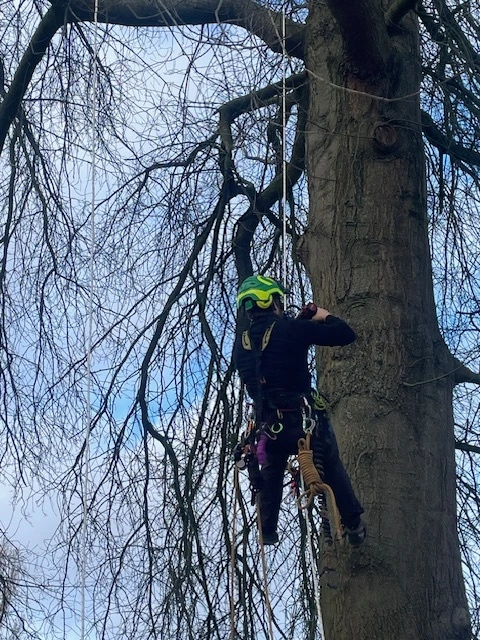 ETW, EAC, formation arboriste, formation ETW